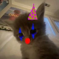 Olav